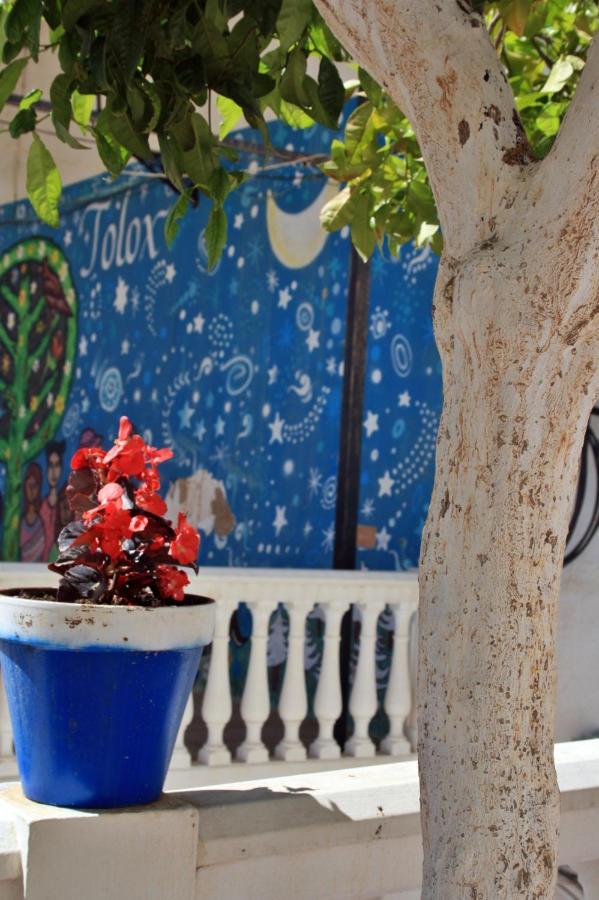 Casa Pepe La Rosa Atico Apartman Tolox Kültér fotó