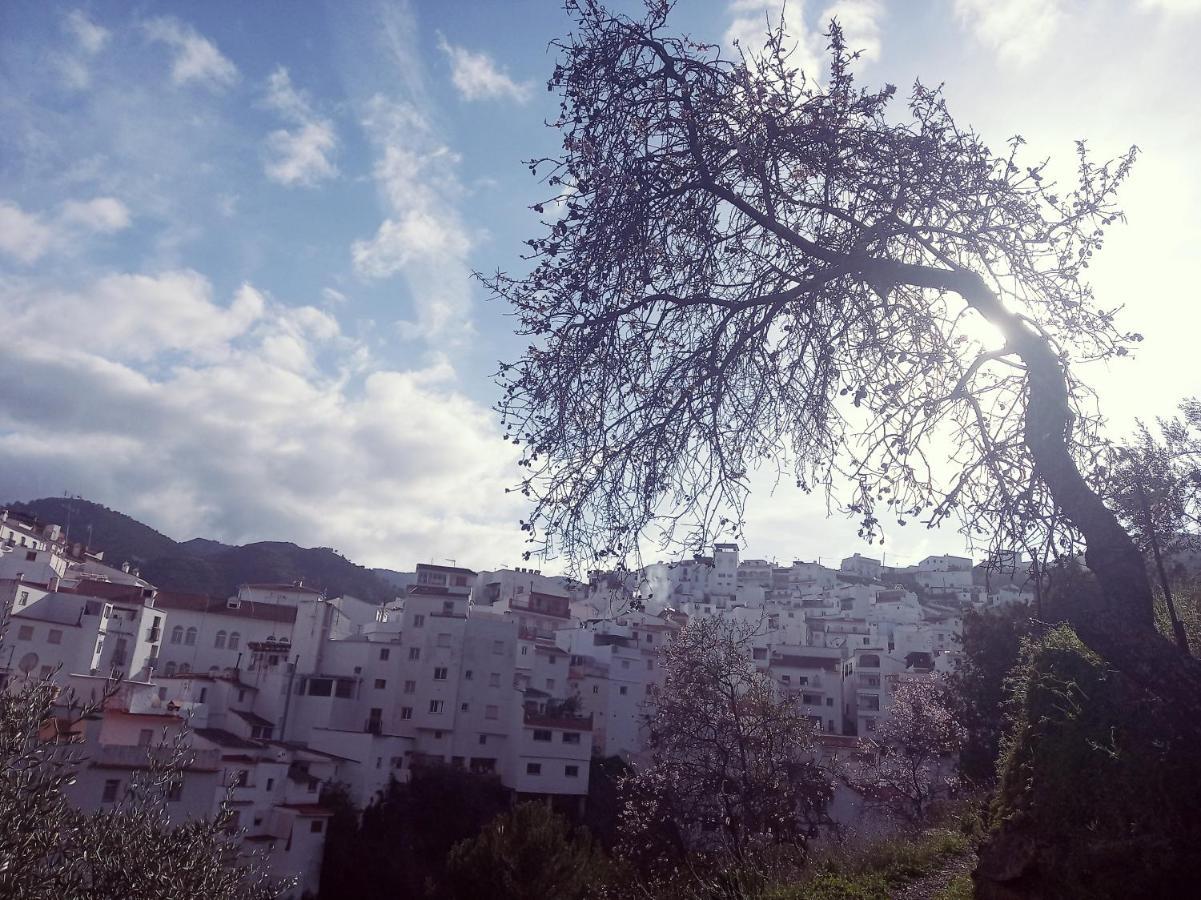 Casa Pepe La Rosa Atico Apartman Tolox Kültér fotó